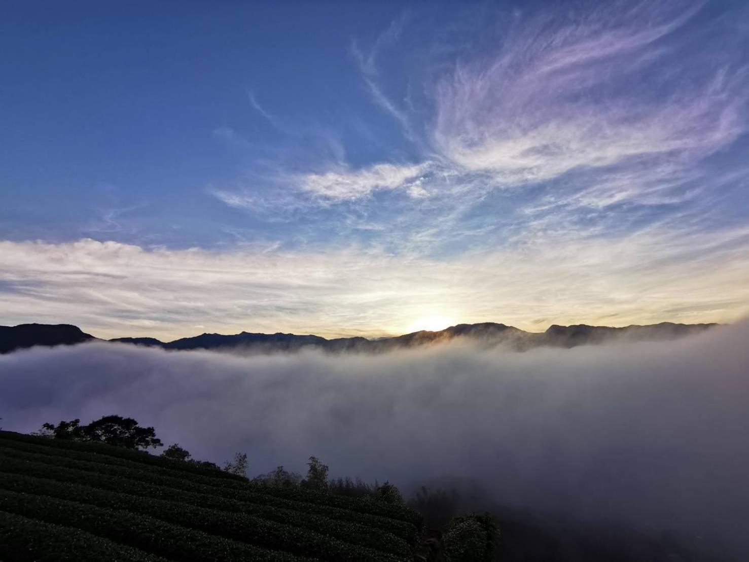 Alishan Tea Garden B&B Fenchihu Extérieur photo