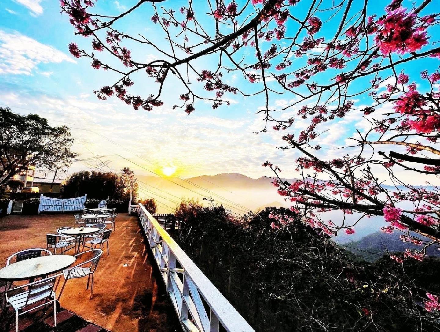 Alishan Tea Garden B&B Fenchihu Extérieur photo